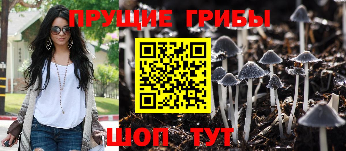 Псилоцибиновые грибы прущие грибы  Вход с VPN  Дмитров  Галлюциногенные грибы ЛСД 