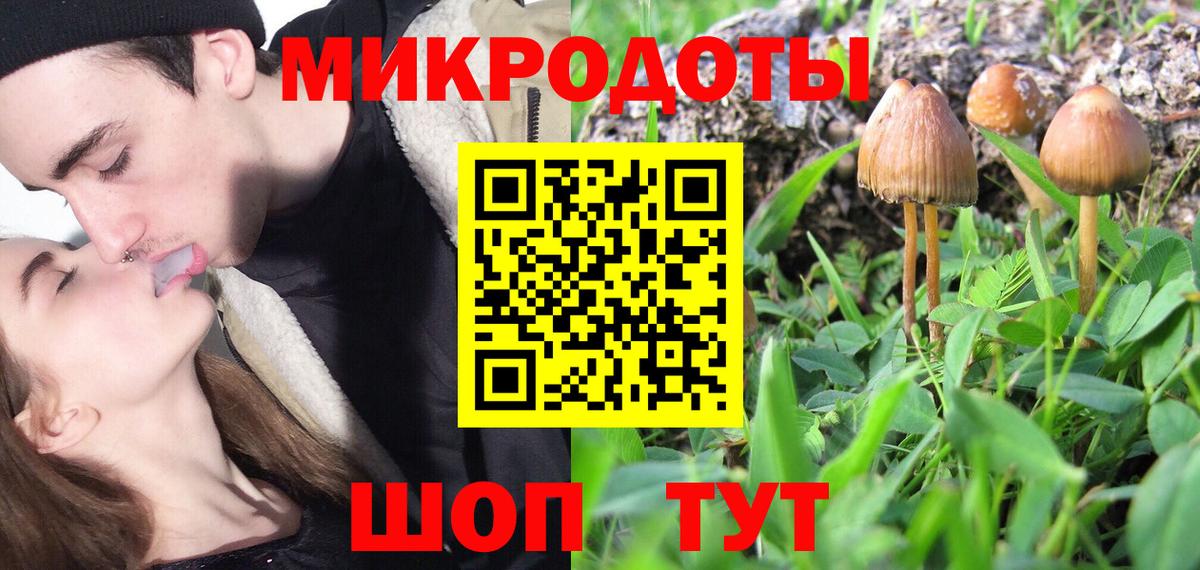Галлюциногенные грибы GOLDEN TEACHER Дмитров